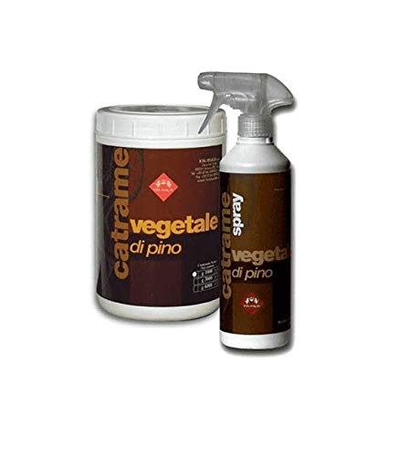 CATRAME VEG PINO 1000G CATRAME VEG PINO 1000G von FM ITALIA GROUP