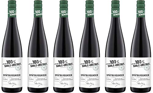 Winzervereinigung Freyburg-Unstrut 100 Prozent Saale- Spätburgunder Kabinett Trocken (6 x 0.75 l) von FREYBURG-UNSTRUT