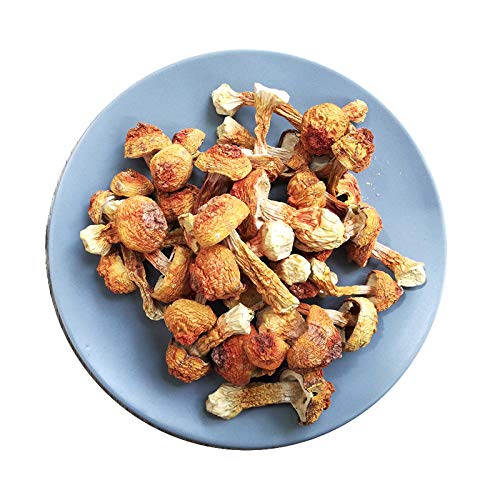 Dried Matsutake,Agaricus Blazei, Yunnan Mushroom,200G (7.05) von FRIDAY MALL