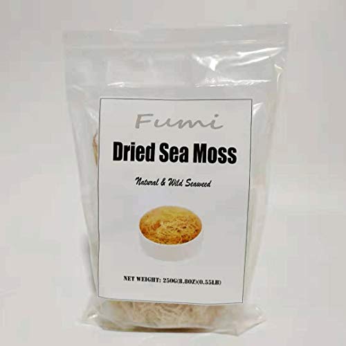 Dried Sea Moss, Algen Salat, Getrocknetes Meeres Gemüse,500g von FRIDAYS