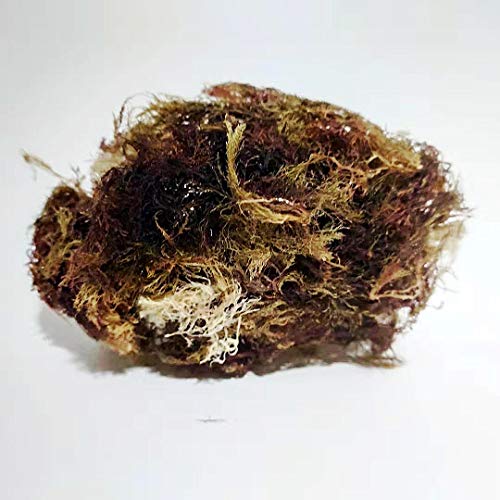 Dried Seaweed for Natural Jelly and Dessert, Red Sea Moss,100g von FRIDAYS