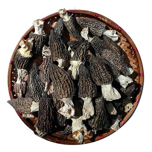 Getrockneter Morcheln,Pilz Premium Grade, Dried Morel,100G (1 bag 100G) von FRIDAYS