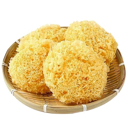 Getrockneter weißer Pilz, Tremella, Fuciformis, essbarer Pilz 500g (500GR) von FRIDAY MALL