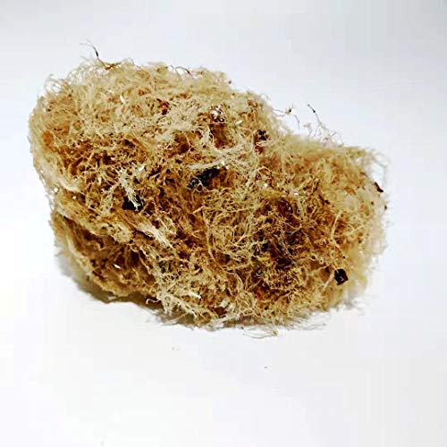 Jelly Seaweed, Dried Sea Moss, Natural Seaweed for Dessert,100g Jelly Seaweed, Dried Sea Moss, Natural Seaweed for Dessert,100g von FRIDAYS
