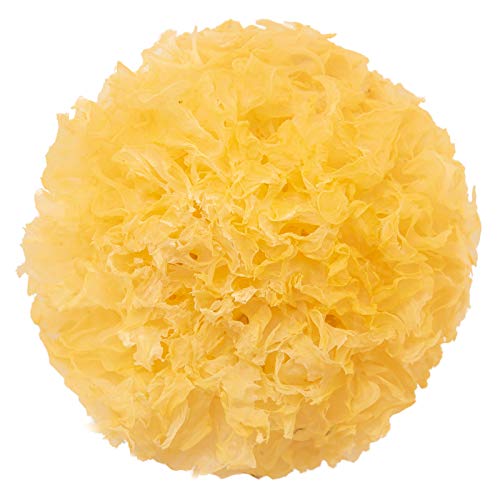 Tremella Mushroom,Snow Fungus,White Fungus Wholesale,500g（17.6OZ） von FRIDAY MALL
