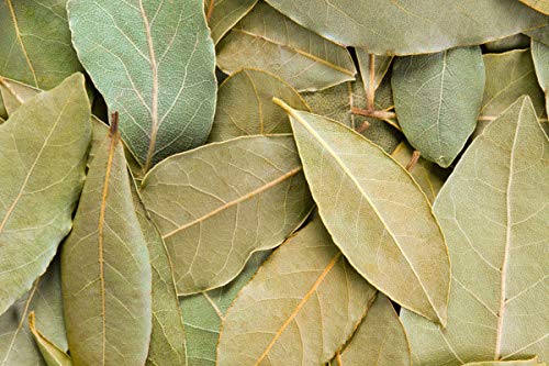 Blätter de Laurel - Beutel 1 kg von FRUTITOSCOM