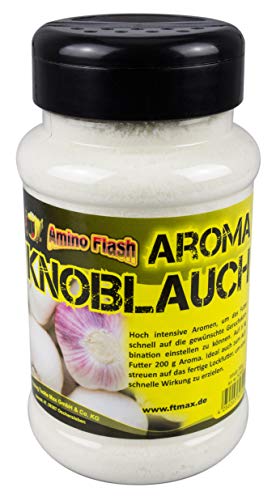 FTM Amino Flash Aroma Knoblauch 400ml Dose FTM Amino Flash Aroma Knoblauch 400ml Dose von FTM