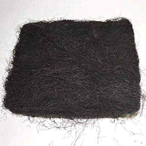 Gracilaria Seaweed，Dried Sea Moss, Edible Brown Seaweed 250G (1 BAG 250G) von FUMI