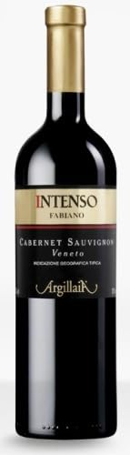 Intenso Cabernet Sauvignon Veneto Argillaia 0,75l IGT 13% - 2021 | Fabiano von Fabiano Viver
