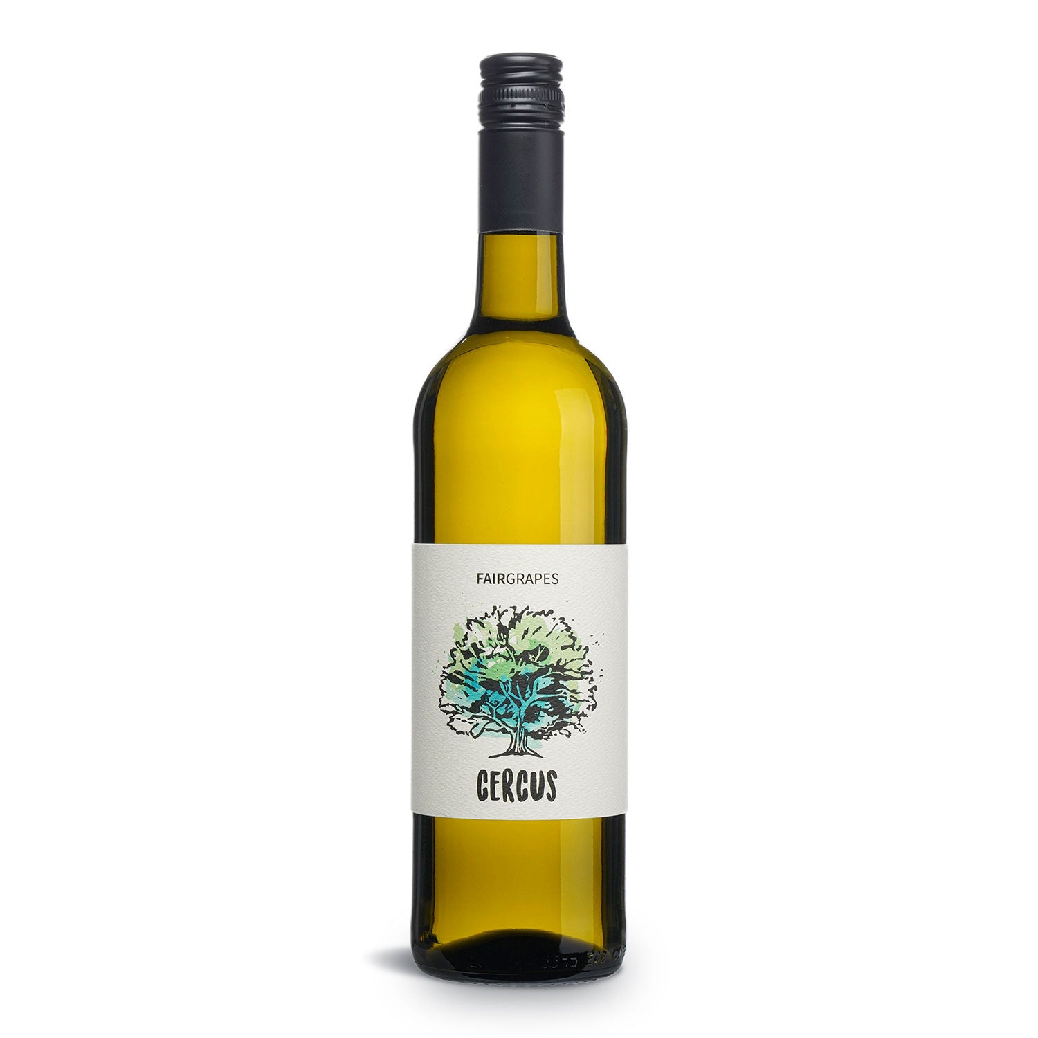 Cercus 2020 Silvaner trocken Cercus 2020 Silvaner trocken von FairGrapes UG