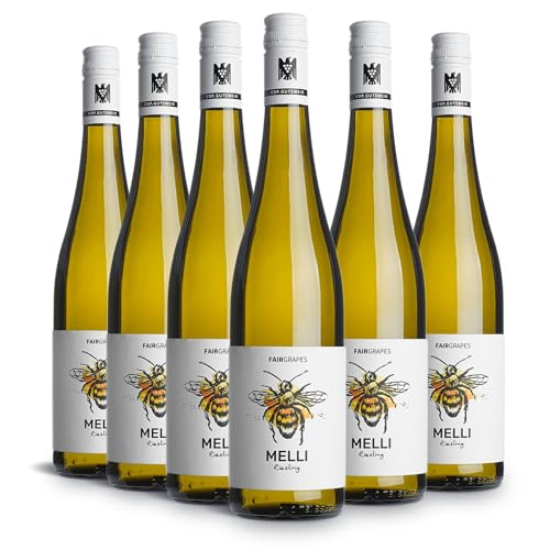 FairGrapes Riesling »Melli« | 89+ Punkte Falstaff | VDP.Gutswein | 2022 Weißwein Trocken | Limette & Grapefruit | Geschenkidee (6 x 0.75 l) von FairGrapes