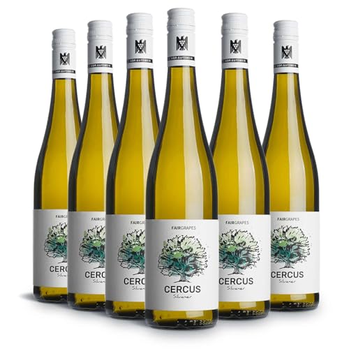 FairGrapes Silvaner »Cercus« | 89+ Punkte Falstaff | VDP.Gutswein | 2022 Weißwein Trocken | Birne & Kräuter | Geschenkidee (6 x 0.75 l) von FairGrapes