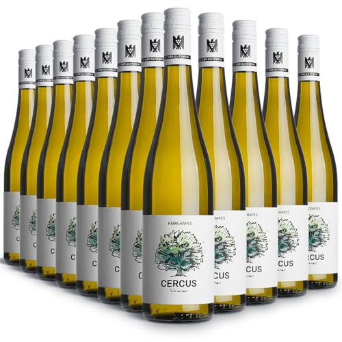 FairGrapes Silvaner »Cercus« | 89+ Punkte Falstaff | VDP.Gutswein | 2022 Weißwein Trocken | Birne & Kräuter | Geschenkidee (12 x 0.75 l) von FairGrapes