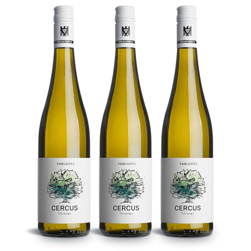 FairGrapes Silvaner »Cercus« | 89+ Punkte Falstaff | VDP.Gutswein | 2022 Weißwein Trocken | Birne & Kräuter | Geschenkidee (3 x 0.75 l) von FairGrapes