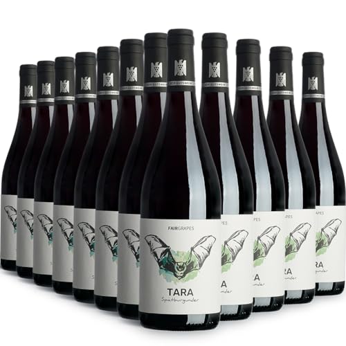 FairGrapes Spätburgunder »Tara« | 90 Punkte Falstaff | VDP.Gutswein | 2020 Rotwein Trocken | Kirsche & Brombeere | Geschenkidee (12 x 0.75 l) von FairGrapes