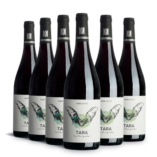 FairGrapes Spätburgunder »Tara« | 90 Punkte Falstaff | VDP.Gutswein | 2020 Rotwein Trocken | Kirsche & Brombeere | Geschenkidee (6 x 0.75 l) von FairGrapes