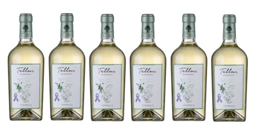 6x 0,75l - 2024er - Falesco - Tellus - Chardonnay - Lazio I.G.P. - Latium - Italien - Weißwein trocken 6x 0,75l - 2024er - Falesco - Tellus - Chardonnay - Lazio I.G.P. - Latium - Italien - Weißwein trocken von Falesco