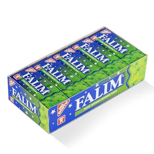 Falim Kaugummi mit Minzaroma ohne Zucker (20 x 5 Stück/140g), Box von Falim