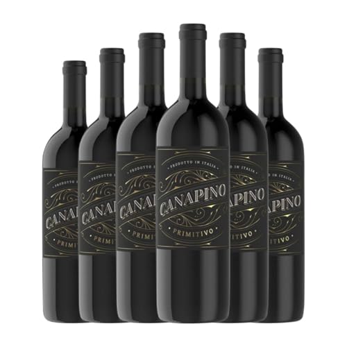 Famiglia Castellani Canapino Primitivo Puglia 75 cl Rotwein (Karton mit 6 Flaschen von 75 cl) von Famiglia Castellani