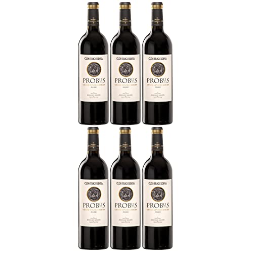 Famille Baldès Probus Rotwein Wein trocken Frankreich I Visando Paket (6 Flaschen) von Famille Baldès