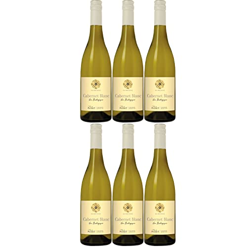 Famille Pugibet Cabernet Blanc Piwi Weißwein Wein trocken Bio Frankreich I Visando Paket (6 Flaschen) von Famille Pugibet