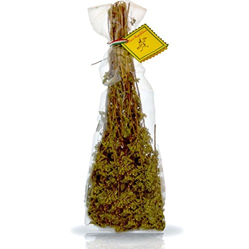 Oregano italienische Niederlassung - Bieten 5 Stück Oregano italienische Niederlassung - Bieten 5 Stück von Fantasia Napoletana