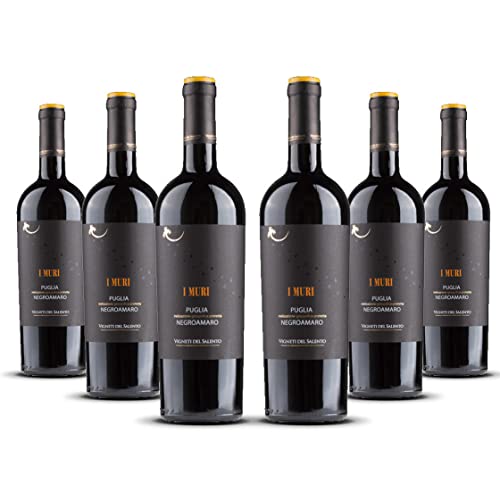 Fantini Group I Muri Negroamaro Vigneti del Salento 2021er Apulien (6 x 0,75l) von Fantini Group