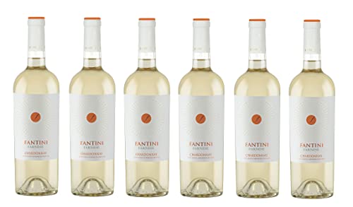 Fantini Chardonnay Terre di Chieti IGT - Italienischer Weißwein (6 x 0,75l) von Fantini