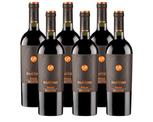 Fantini Primitivo Puglia IGT - Italienischer Rotwein (6 x 0,75l) von Fantini