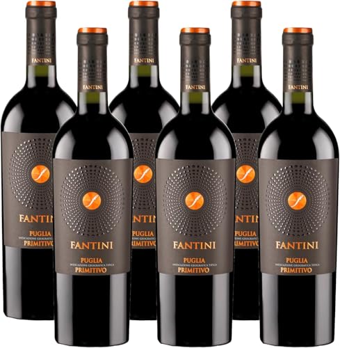 Fantini Primitivo Puglia IGT - Italienischer Rotwein (6 x 0,75l) von Fantini