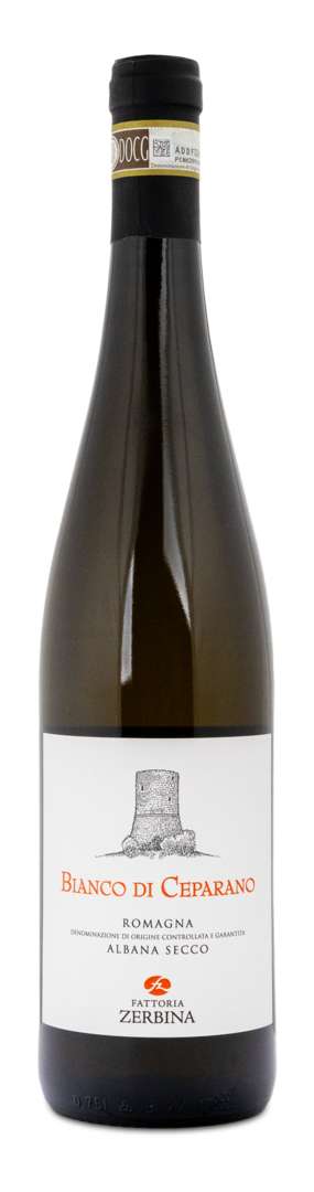 2022 Bianco di Cerparano Romagna DOCG Albana Secco von Fattoria Zerbina Srl -
