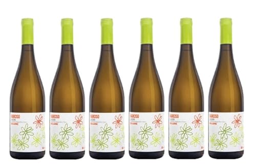 6x 0,75l - 2023er - Federici - Narciso - Bellone - Lazio I.G.P. - Latium - Italien - Weißwein trocken 6x 0,75l - 2023er - Federici - Narciso - Bellone - Lazio I.G.P. - Latium - Italien - Weißwein trocken von Federici