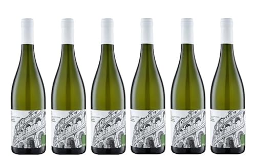 6x 0,75l - 2023er - Federici - Roma - Bianco - Roma I.G.P. - Latium - Italien - Weißwein trocken 6x 0,75l - 2023er - Federici - Roma - Bianco - Roma I.G.P. - Latium - Italien - Weißwein trocken von Federici