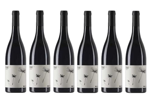 6x 0,75l - 2023er - Federici - Ùle - Shiraz - Lazio I.G.P. - Latium - Italien - Rotwein trocken 6x 0,75l - 2023er - Federici - Ùle - Shiraz - Lazio I.G.P. - Latium - Italien - Rotwein trocken von Federici