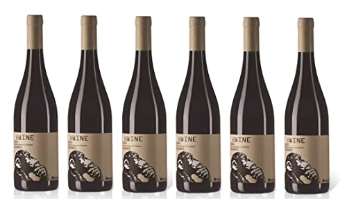 6x 0,75l - 2023er - Federici - WWWine - Cesanese - Lazio I.G.P. - Latium - Italien - Weißwein trocken 6x 0,75l - 2023er - Federici - WWWine - Cesanese - Lazio I.G.P. - Latium - Italien - Weißwein trocken von Federici
