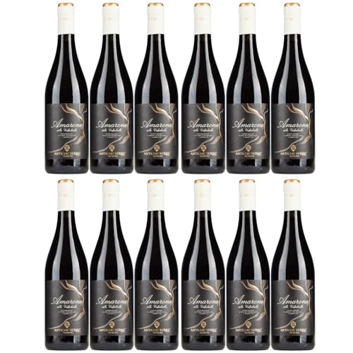 Antiche Terre Venete Amarone della Valpolicella Rotwein Wein Trocken Veneto Italien inkl. FeinWert E-Book (12 x 0,75l) von FeinWert
