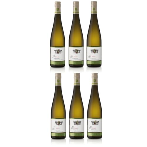 Baron Knyphausen Riesling Erbach VDP.ORTSWEIN Weisswein Trocken Rheingau Deutschland Inkl. FeinWert E-Book (6 x 0,75l) von FeinWert