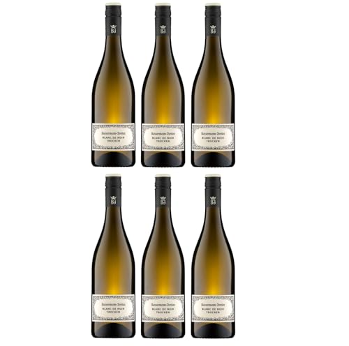 Bassermann-Jordan Blanc de Noir Weisswein Wein Trocken Pfalz Deutschland Inkl. FeinWert E-Book (6 x 0,75l) von FeinWert