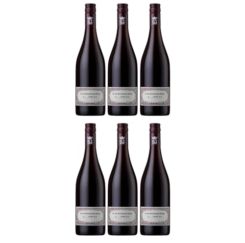 Bassermann-Jordan S SPRUNG Rotwein Cuvée Wein Trocken Pfalz Deutschland Inkl. FeinWert E-Book (6 x 0,75l) von FeinWert