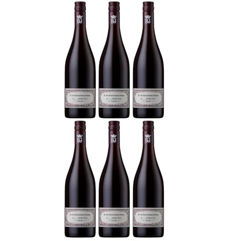 Bassermann-Jordan S SPRUNG Rotwein Cuvée Wein Trocken Pfalz Deutschland Inkl. FeinWert E-Book (6 x 0,75l) von FeinWert