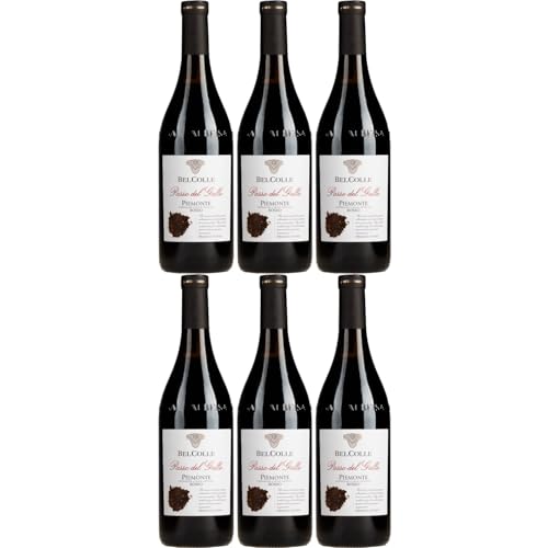 Bel Colle Piemonte Rosso Passo del Gallo Rotwein Wein Trocken Piemont Italien inkl. FeinWert E-Book (6 x 0,75l) von FeinWert