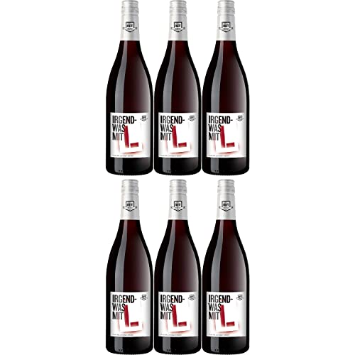 Bergdolt-Reif & Nett Irgendwas mit L Rotwein Cuvée Wein Lieblich Pfalz I FeinWert Paket (6 x 0,75l) von FeinWert