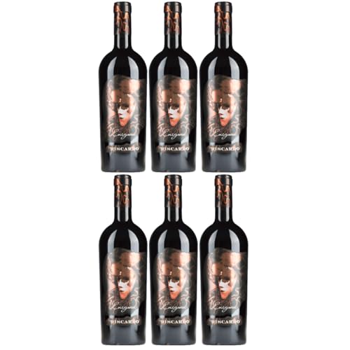 Biscardo Enigma Appassiment Sangiovese Rubicone Veneto halbtrocken Rotwein Rot Trocken Italien inkl. FeinWert E-Book (6 x 0,75l) von FeinWert