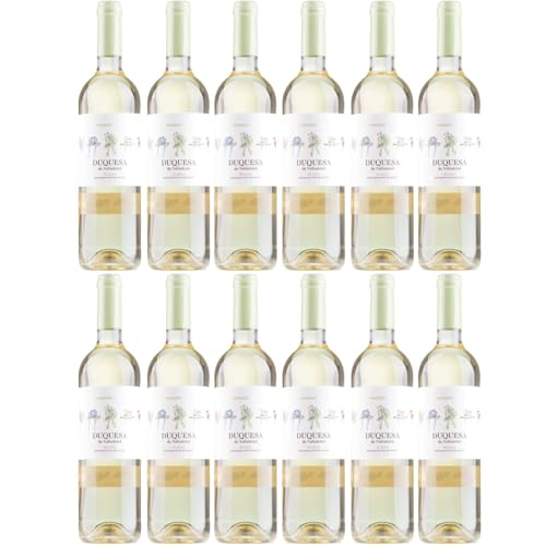 Bodegas LAN Duquesa de Valladolid Rueda Verdejo Weisswein Wein Trocken Spanien inkl. FeinWert E-Book (12 x 0,75l) von FeinWert
