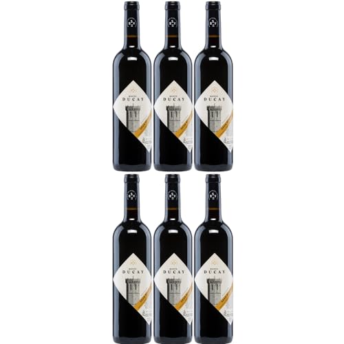 Bodegas San Valero Monte Ducay Gran Reserva Vegan Rotwein Wein Trocken Spanien Inkl FeinWert E-Book (6 x 0,75l) von FeinWert