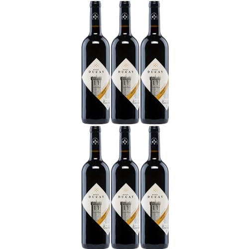 Bodegas San Valero Monte Ducay Gran Reserva Vegan Rotwein Wein Trocken Spanien Inkl FeinWert E-Book (6 x 0,75l) von FeinWert