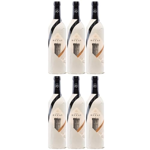 Bodegas San Valero Monte Ducay Reserva Pergamino Vegan Rotwein Wein Trocken Spanien Inkl FeinWert E-Book (6 x 0,75l) von FeinWert