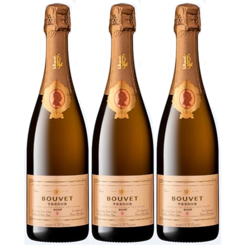 Bouvet Trésor Rosé Brut Saumur Schaumwein Crémant Saumur vegan Frankreich I FeinWert Paket (3 x 0,75l) von FeinWert