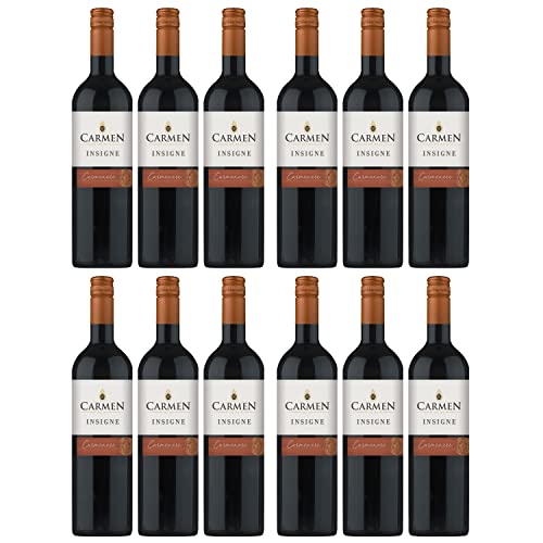 Carmen Carmenère Rotwein Wein trocken Chile I FeinWert Paket (12 x 0,75l) von FeinWert
