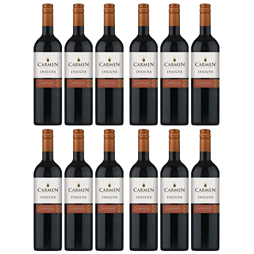 Carmen Carmenère Rotwein Wein trocken Chile I FeinWert Paket (12 x 0,75l) von FeinWert